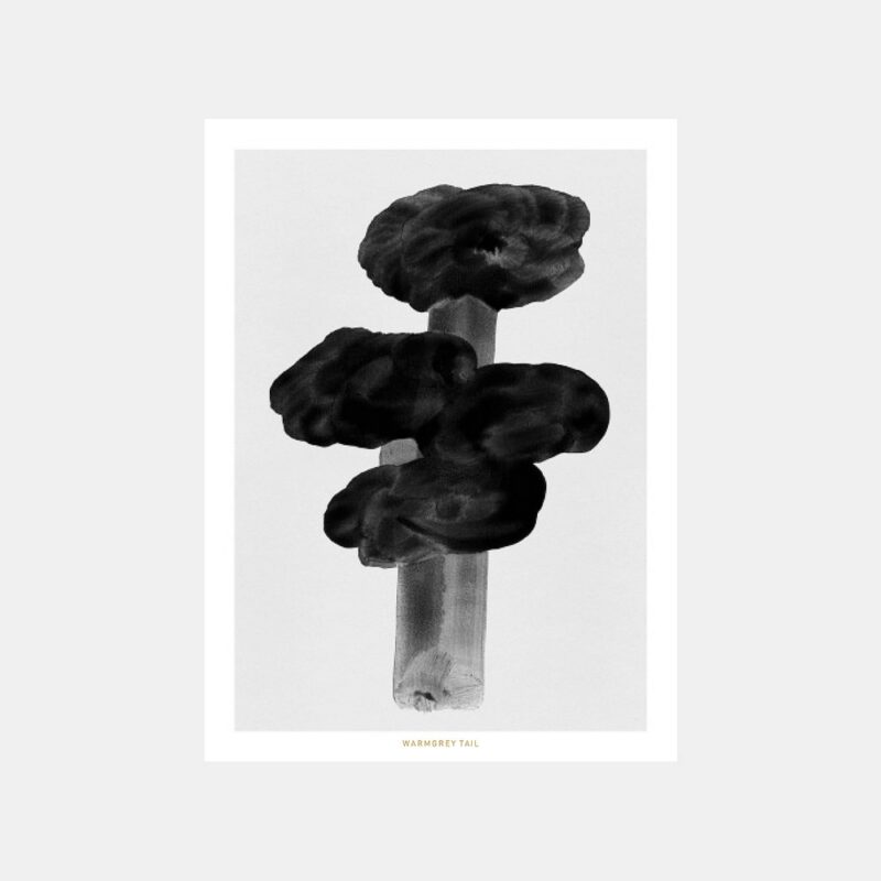 Postkarte - Black Tree